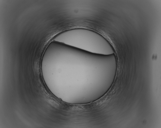 X0000091700386200708240939
