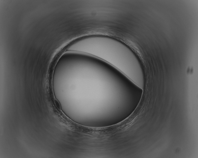 X0000091700388200708240939