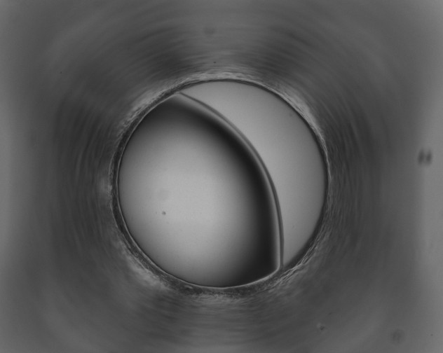 X0000091700389200708240939