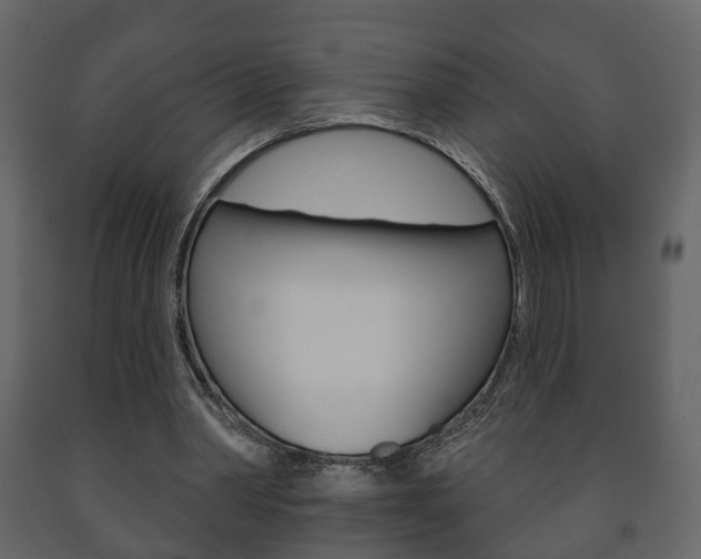 X0000091700390200708240939