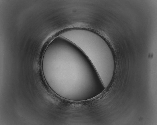 X0000091700392200708240939