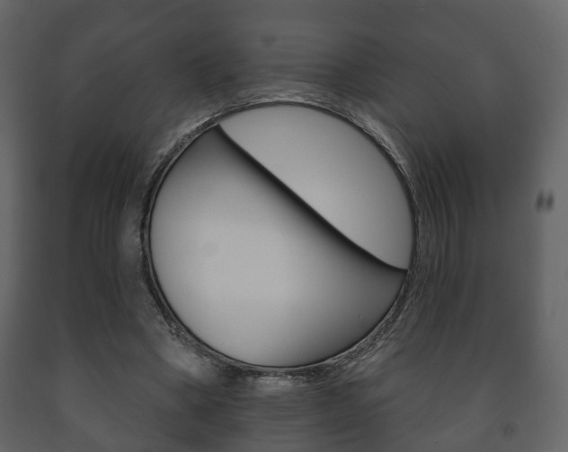 X0000091700394200708240939