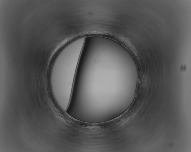 X0000091700395200708240939