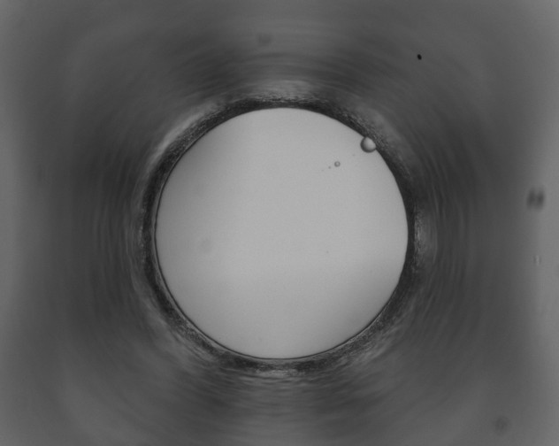 X0000091700396200708240939