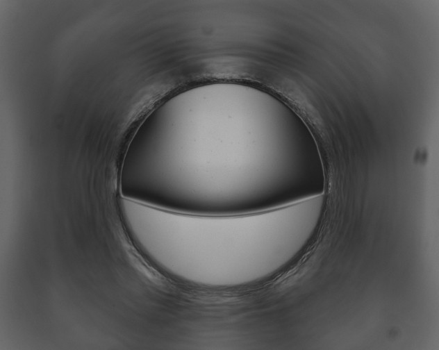X0000091700397200708240939