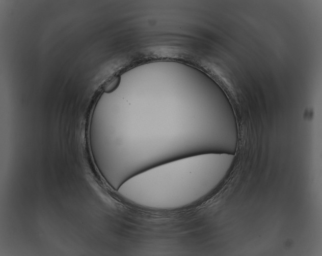 X0000091700398200708240939