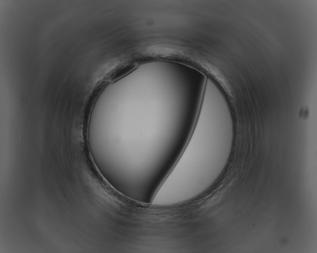 X0000091700399200708240939