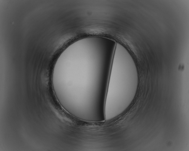 X0000091700400200708240939