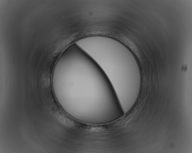 X0000091700401200708240939
