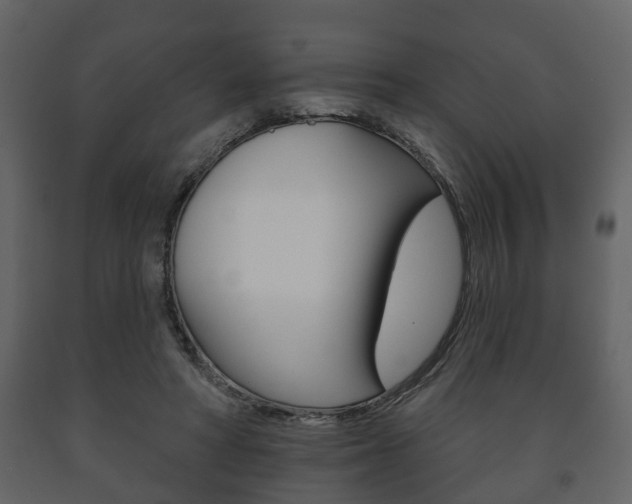 X0000091700402200708240939