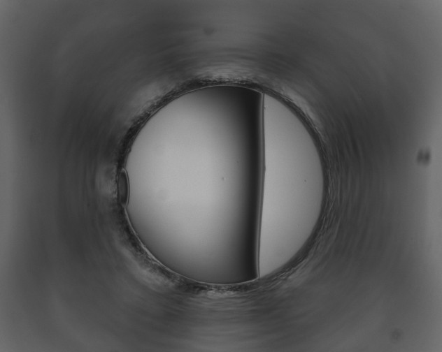 X0000091700403200708240939