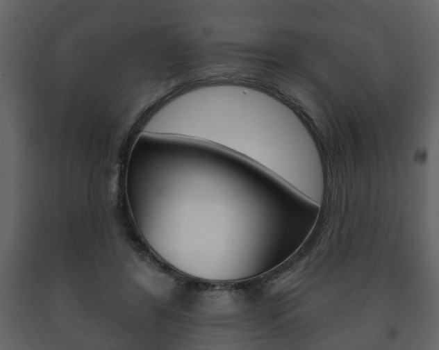 X0000091700404200708240939