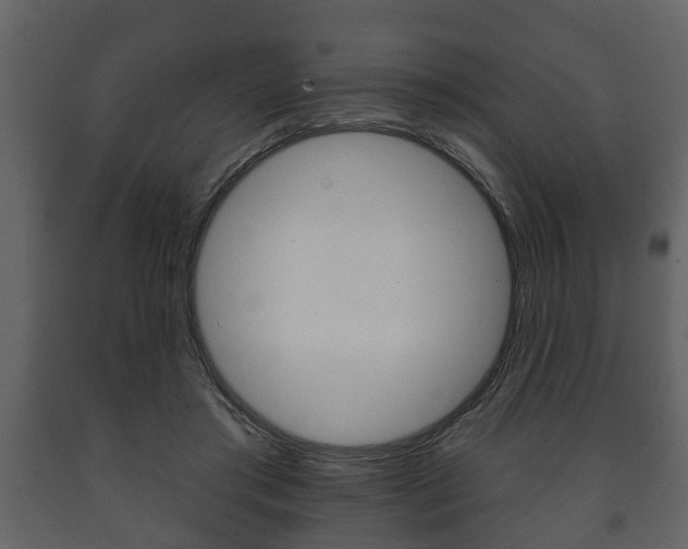 X0000091700405200708240939