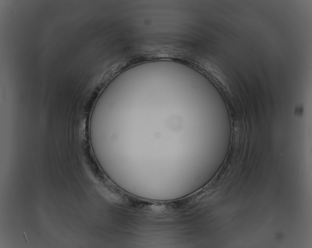 X0000091700406200708240939