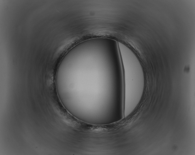 X0000091700407200708240939