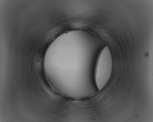 X0000091700408200708240939