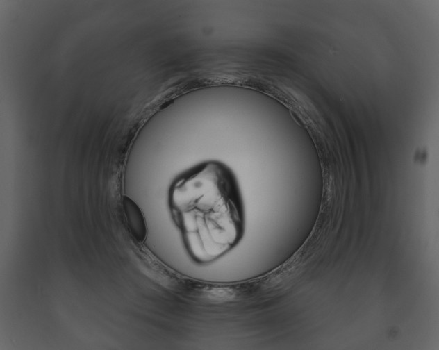 X0000091700409200708240939