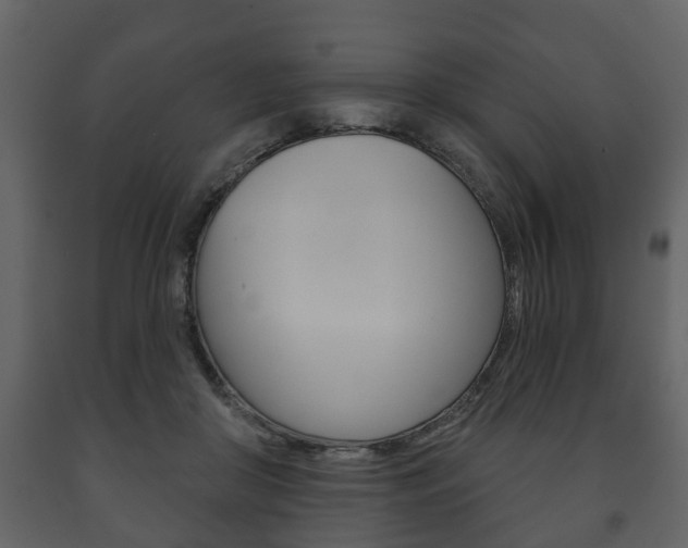 X0000091700410200708240939