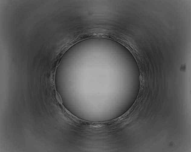 X0000091700411200708240939