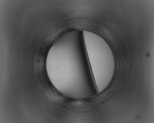 X0000091700412200708240939