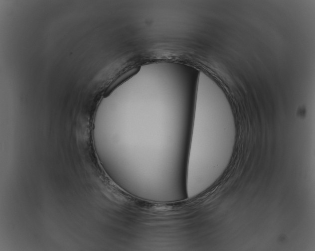 X0000091700413200708240939