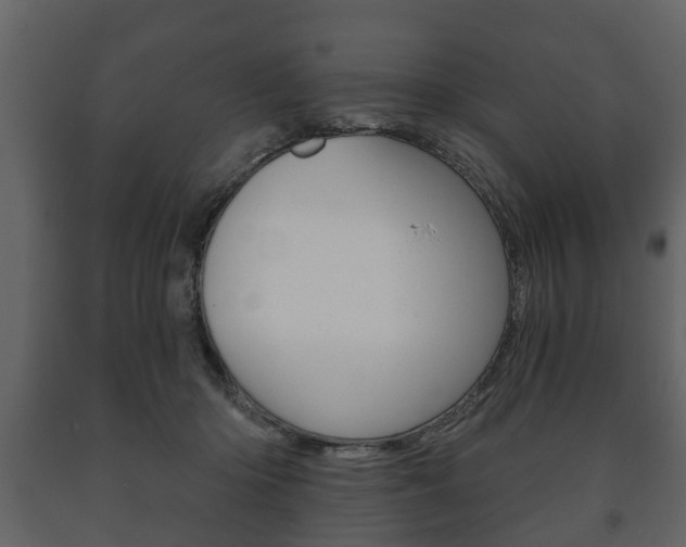 X0000091700414200708240939
