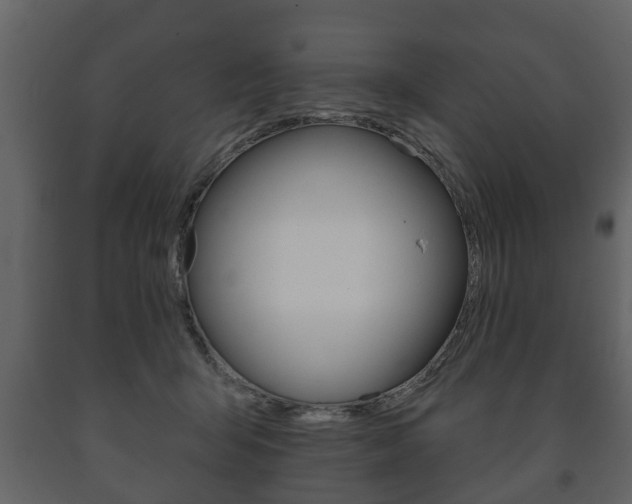 X0000091700415200708240939