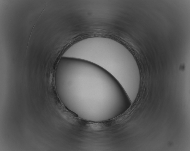 X0000091700417200708240939