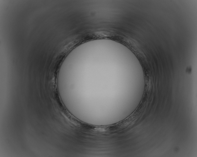 X0000091700418200708240938