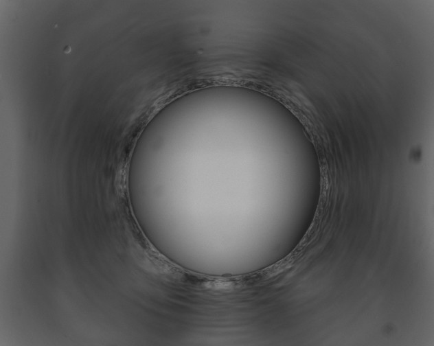 X0000091700419200708240938