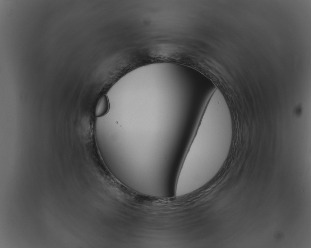 X0000091700420200708240938