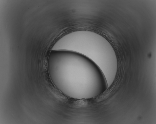 X0000091700421200708240938
