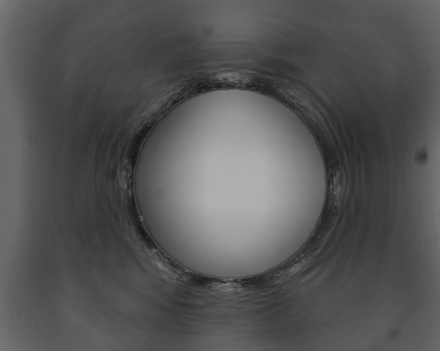X0000091700424200708240938