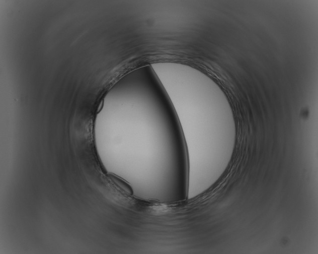 X0000091700425200708240938
