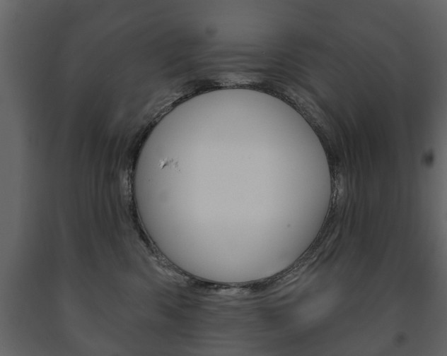 X0000091700426200708240938