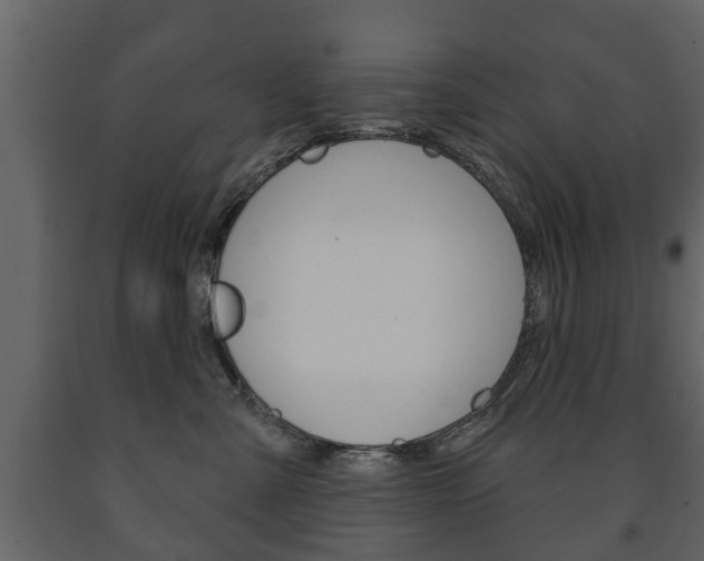 X0000091700427200708240938