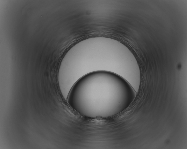 X0000091700428200708240938