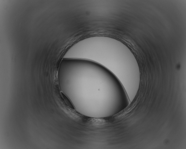 X0000091700429200708240938