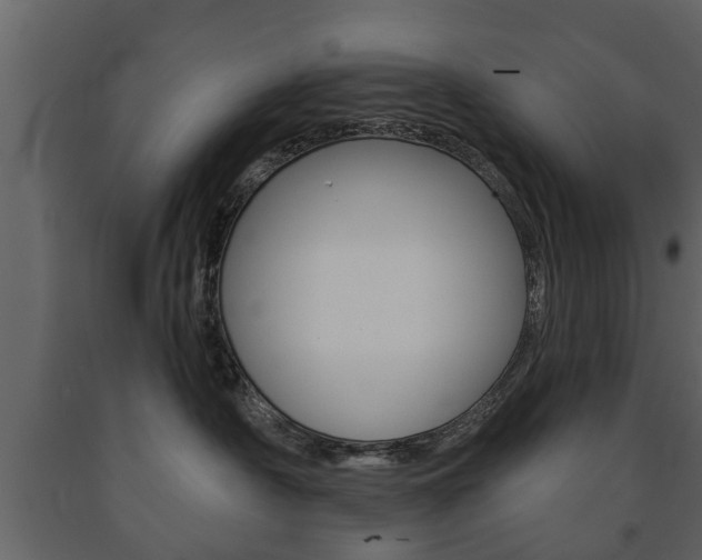 X0000091700430200708240938