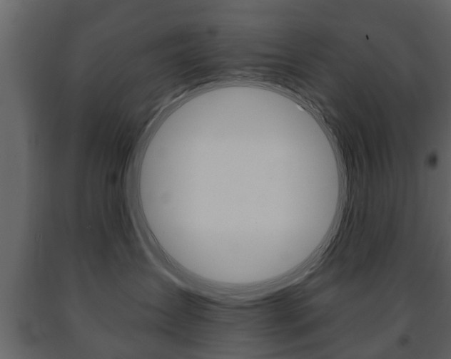 X0000091700431200708240938