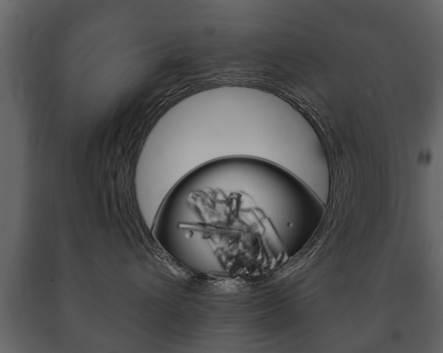 X0000091700432200708240938