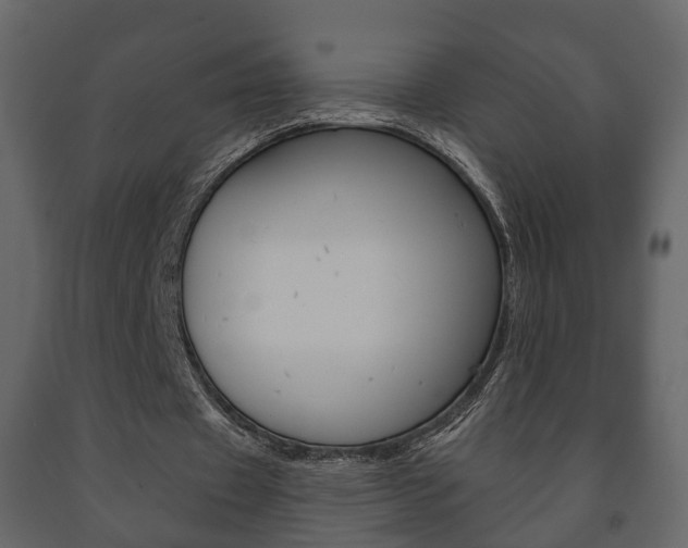 X0000091700433200708240937