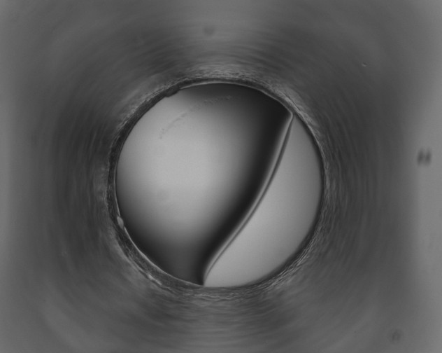 X0000091700434200708240937