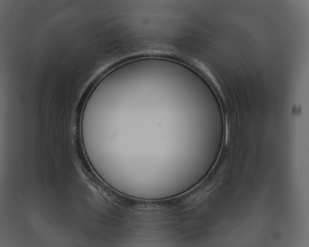 X0000091700435200708240937