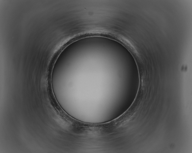X0000091700436200708240938