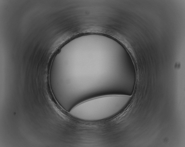 X0000091700437200708240938