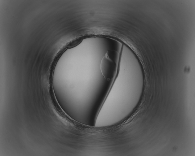 X0000091700438200708240938