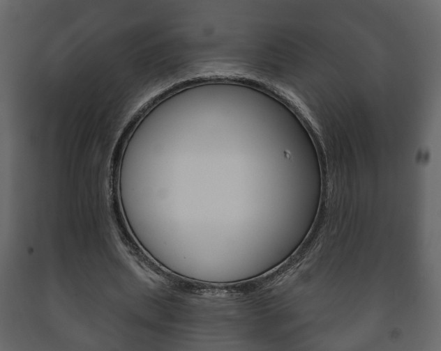 X0000091700439200708240938