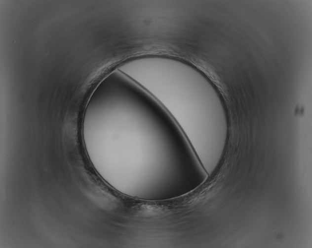 X0000091700442200708240938