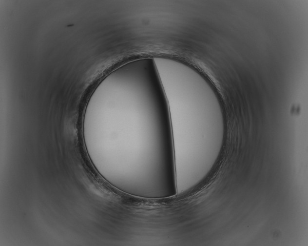 X0000091700443200708240938